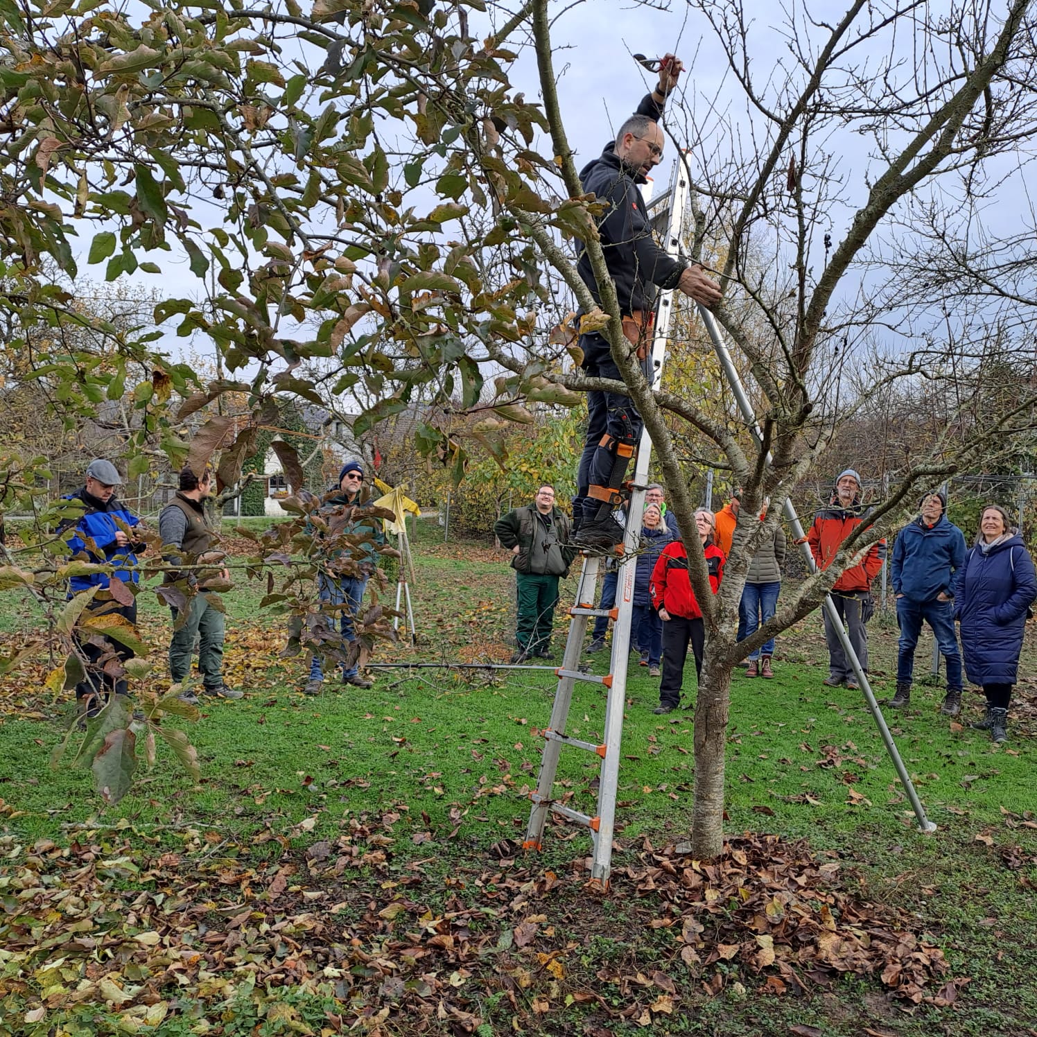 Obst- und Gartenbauverein